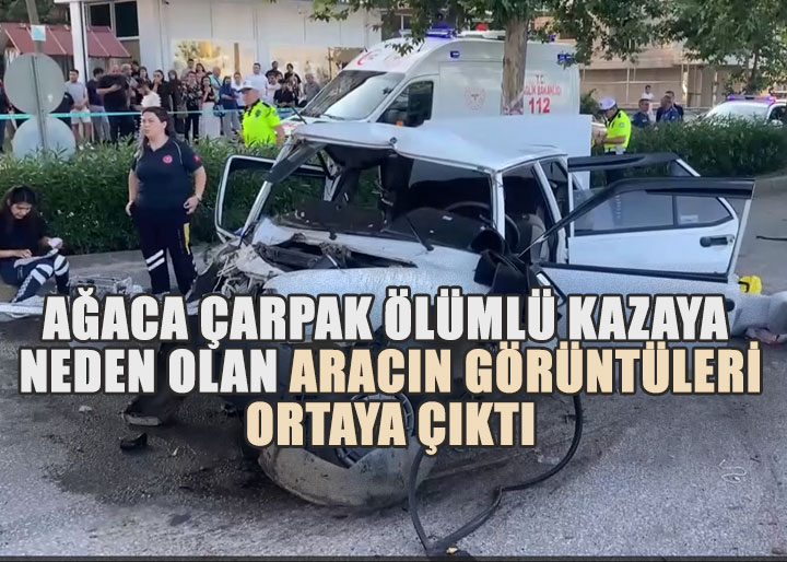 Kaldırıma Çarptı, Havalanıp Ağaca Saplandı: Denizli'de Feci Kaza Kamerada