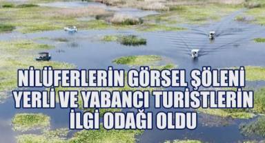 Nilüferlerin görsel şöleni yerli ve yabancı turistlerin ilgi odağı oldu