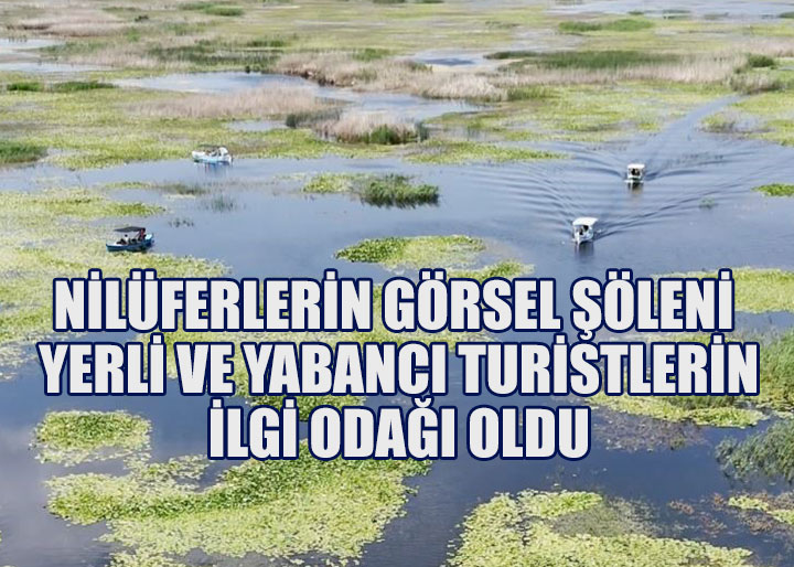 Nilüferlerin görsel şöleni yerli ve yabancı turistlerin ilgi odağı oldu