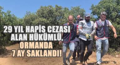 29 Yıl Hapis Cezası Alan Hükümlü, Ormanda 7 Ay Hayvan Derisinden Giysiyle Saklandı!