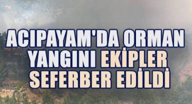 Acıpayam'da Orman Yangını: Ekipler Seferber Edildi