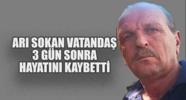 Arı sokan vatandaş, 3 günlük yaşam mücadelesini kaybetti