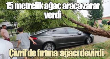 Çivril’de fırtına 15 metrelik ağacı devirdi