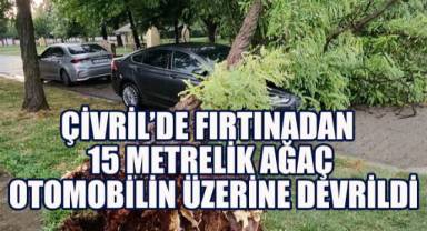 Çivril'de Fırtınadan 15 Metrelik Ağaç Otomobilin Üzerine Devrildi