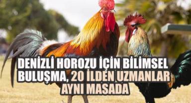 Denizli'deki seminerde, Denizli horozunun geleceği masaya yatırıldı