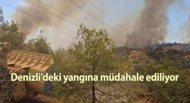 Denizli'deki yangına müdahale ediliyor
