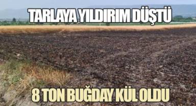 Ekili araziye düşen yıldırım 8 ton buğdayı kül etti