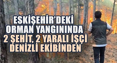 Eskişehir'deki orman yangınında 2 şehit ve 2 yaralı işçi Denizli ekibinden