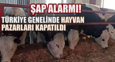 Şap Alarmı: Türkiye Genelinde Hayvan Pazarları Kapatıldı