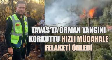 Tavas'ta Orman Yangını Korkuttu: Hızlı Müdahale Felaketi Önledi