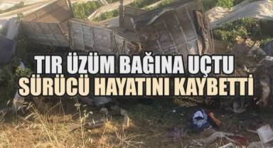 Üzüm bağına uçan tır sürücüsü hayatını kaybetti