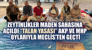 Zeytinlikler Maden Sahasına Açıldı: “Talan Yasası” AKP ve MHP Oylarıyla Meclis'ten Geçti
