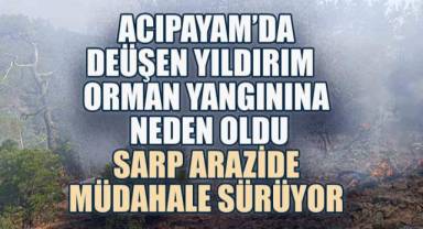 Acıpayam'da Düşen Yıldırım Orman Yangınına Neden Oldu: Sarp Arazide Müdahale Sürüyor