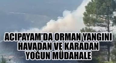 Acıpayam'da orman yangını: Havadan ve karadan yoğun müdahale