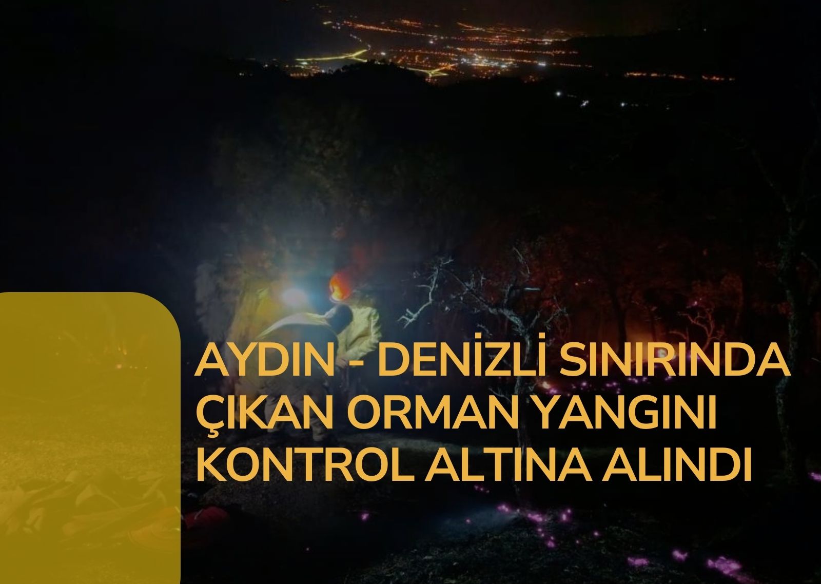 Aydın - Denizli sınırında çıkan orman yangını kontrol altına alındı