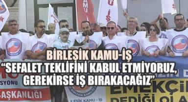 Birleşik Kamu-İş: