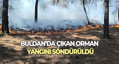 Buldan'da çıkan orman yangını kısa sürede kontrol altına alındı