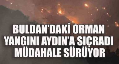 BULDAN'DAKİ ORMAN YANGINI AYDIN'A SIÇRADI: MÜDAHALE SÜRÜYOR