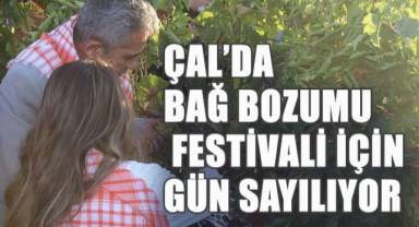 Çal'da 28. Uluslararası Bağ Bozumu Kültür ve Sanat Festivali Eylül'ün İlk Haftası Başlıyor!