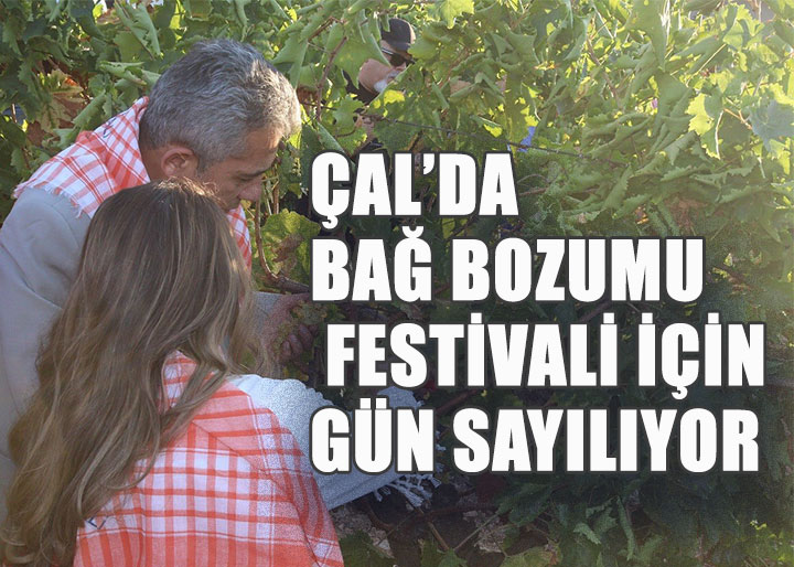 Çal'da 28. Uluslararası Bağ Bozumu Kültür ve Sanat Festivali Eylül'ün İlk Haftası Başlıyor!