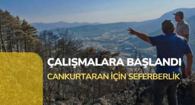 Cankurtaran'da yanan bölgenin ağaçlandırılması için çalışmalara başlandı