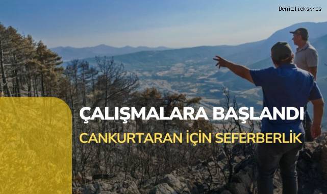 Cankurtaran'da yanan bölgenin ağaçlandırılması için çalışmalara başlandı