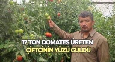Dekarda 17 ton domates üreten çiftçinin yüzü güldü