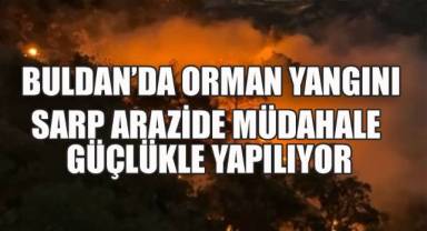Denizli Buldan’da Orman Yangını: Ekipler Seferber Oldu