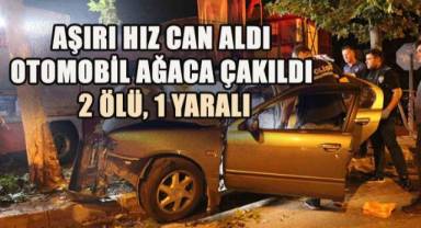 Feci Kaza: Otomobil Ağaca Çarpıp Saplandı, 2 Ölü, 1 Ağır Yaralı