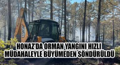Honaz'da Orman Yangını Hızlı Müdahaleyle Büyümeden Söndürüldü