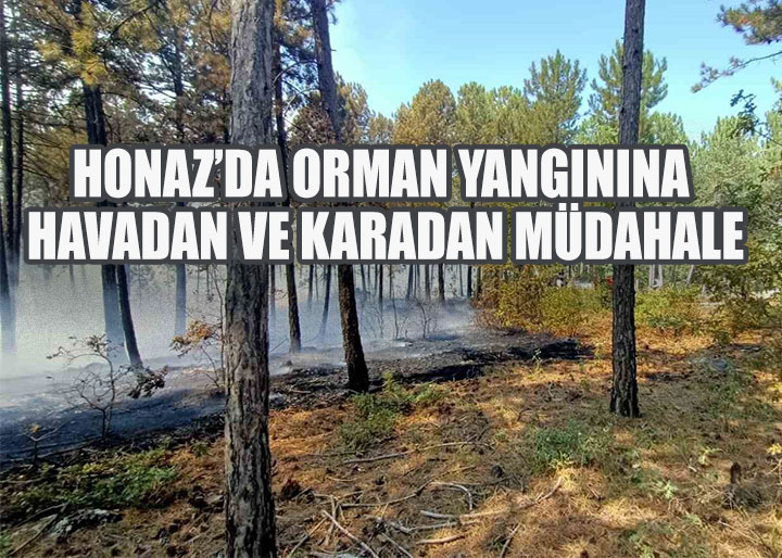 Honaz’da Orman Yangınına Havadan ve Karadan Müdahale