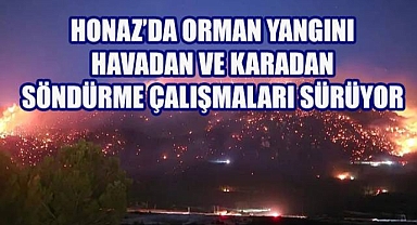 Honaz Dağı'nda Orman Yangını: Alevler Cankurtaran'a Kadar İndi