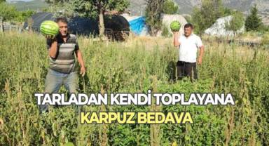 Tarladan kendi toplayana karpuz bedava