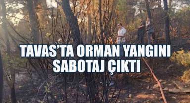 Tavas’taki Orman Yangını Kasıtlı Çıkarıldı