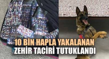 10 Bin Hapla Yakalan Zehir Taciri Yakalandı