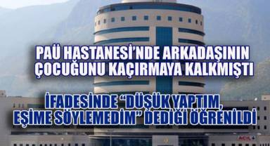 Arkadaşının Çocuğunu Kaçırmaya Kalkmıştı; İfadesinde,“Düşük yaptım, eşime söylemedim” dediği Öğrenildi