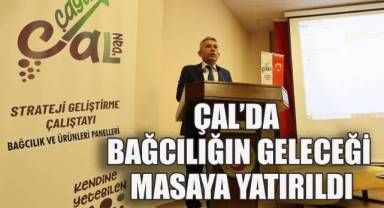 Bağcılığın Sorunları ve Çözümleri Çal'da Konuşuldu
