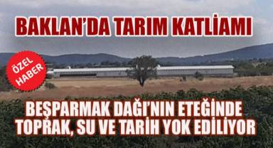 Baklan'da Tarım ve Tarih Yok Oluyor: Çalkebir Höyüğü, Bağlar ve Meyve Bahçeleri Tehdit Altında