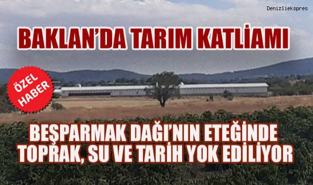 Baklan'da Tarım ve Tarih Yok Oluyor: Çalkebir Höyüğü, Bağlar ve Meyve Bahçeleri Tehdit Altında