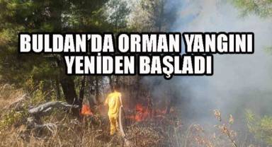 Buldan’da Orman Yangını Yeniden Başladı