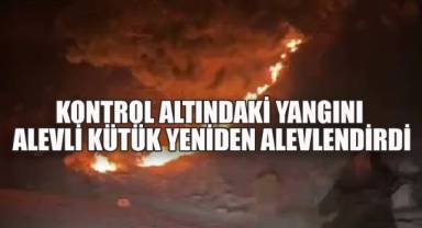 Buldan Yangınında Korku Dolu Anlar: Alevli Kütük Yangını Yeniden Büyüttü