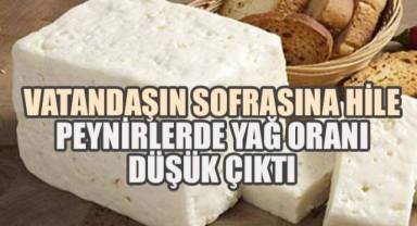 Denizli’de Peynir Skandalı: 14 Numunenin Tamamı Hileli Çıktı!