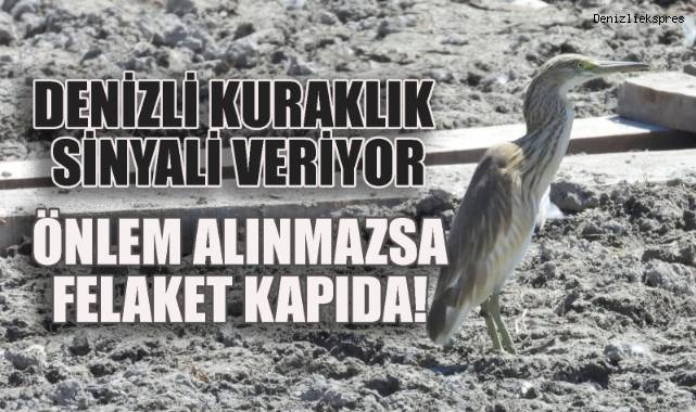 Denizli Kuraklıkla Yüz Yüze: Alarm Zilleri Çalıyor