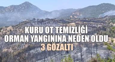 Kuru Ot Temizliği Orman Yangınına Neden Oldu, 3 Gözaltı