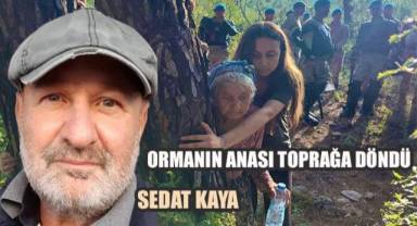 ORMANIN ANASI TOPRAĞA DÖNDÜ