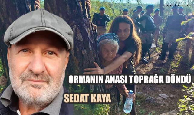 ORMANIN ANASI TOPRAĞA DÖNDÜ