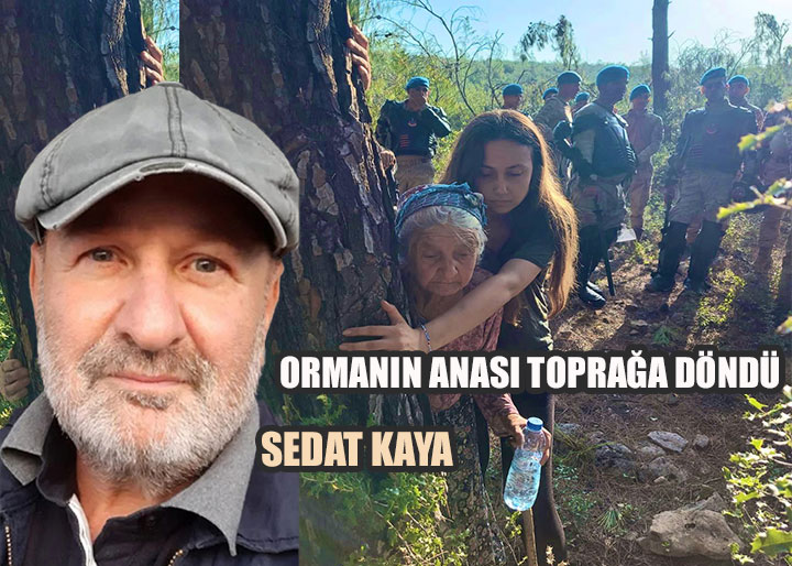ORMANIN ANASI TOPRAĞA DÖNDÜ