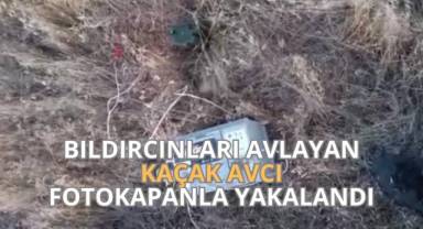 Ses düzeneğiyle bıldırcınları avlayan kaçak avcı fotokapanla yakalandı