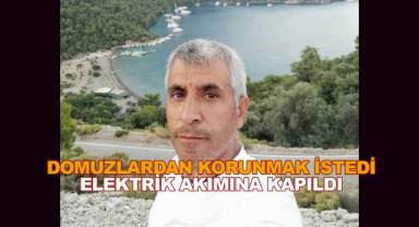 Tarlasını domuzlardan korumak isterken elektrik akımına kapılan üretici hayatını kaybetti