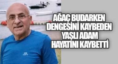 Ağaç Budarken Dengesini Kaybeden yaşlı adam Hayatını Kaybetti